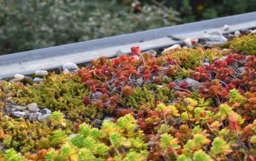 the cost of Hallaton green roof installation